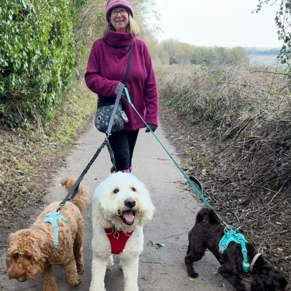 Sharon on a Winter's walk with Teddy, Bailey and Charlie