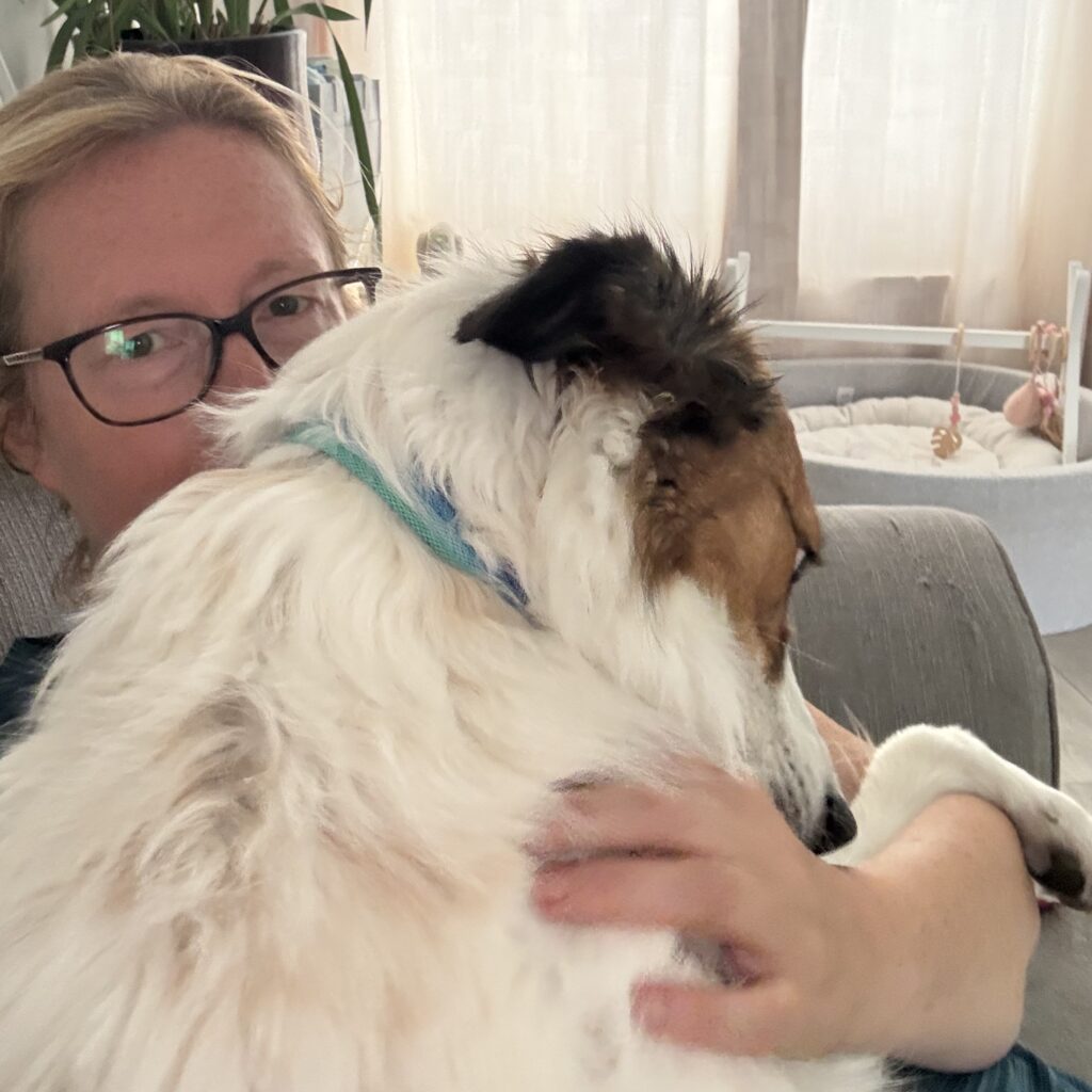 Rusty, the Brown and White Collie, is sitting on Sharon's lap